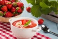 Home made soup with strawberries Royalty Free Stock Photo