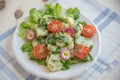Home made Spring salad Royalty Free Stock Photo