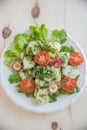 Home made Spring salad Royalty Free Stock Photo