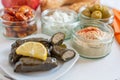 Stuffed grape leaves filled with rice Royalty Free Stock Photo