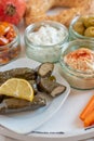 Stuffed grape leaves filled with rice Royalty Free Stock Photo