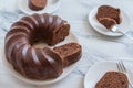 Home made chocolate sponge cake Royalty Free Stock Photo