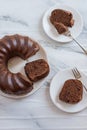 Home made chocolate sponge cake Royalty Free Stock Photo