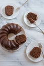 Home made chocolate sponge cake Royalty Free Stock Photo