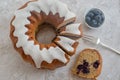 Home made vanilla blueberry sponge cake Royalty Free Stock Photo