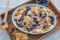 Home made vanilla cheesecake ice cream with blueberries and cookies