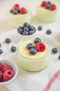 Home made vanilla pudding Royalty Free Stock Photo