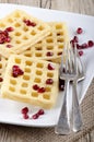 Home made waffle with pomegranate seed