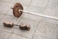 Home-made weight and barbell. Home quarantine and isolation. Equipment for sports from improvised means. health and beauty
