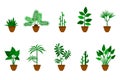 Home, office flowers vector icon illustration set. Green plants in brown clay pots flat style design collection on white Royalty Free Stock Photo