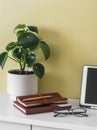 Home office. Notebooks, tablet, home flower on the desktop in the living room