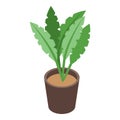 Home office plant pot icon, isometric style