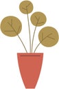 Home or office plant in pot. Vector illustration. Foliage plant in pot for interior. Home plant in flowerpot