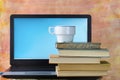 Home office, workspace with books, laptop and cup of coffee, working at home,corona virus, free copy space Royalty Free Stock Photo