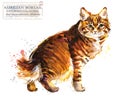 Home pet. breed of Cats series. cute kitten. watercolor domestic animal illustration.