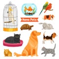 Home Pets Set Royalty Free Stock Photo