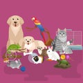 Home pets set, cat dog parrot goldfish hamster, domesticated animals Royalty Free Stock Photo