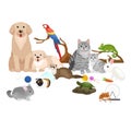 Home pets set, cat dog parrot goldfish hamster, domesticated animals Royalty Free Stock Photo