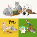 Home pets set, cat dog parrot goldfish hamster, domesticated animals