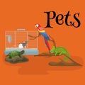 Home pets set, cat dog parrot goldfish hamster, domesticated animals Royalty Free Stock Photo