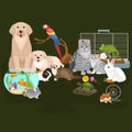 Home pets set, cat dog parrot goldfish hamster, domesticated animals