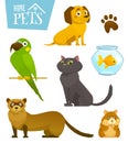 Home pets set isolated on white, cat dog parrot goldfish hamster ferret, cartoon vector illustration