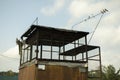 Home for pigeons. Breeding of thoroughbred pigeons in the city