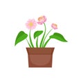 Home Pink Flower With Heart Shape Leaves In The Flowerpot, Flower Shop Decorative Plants Assortment Item Cartoon Vector