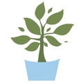 Home plant in a blue pot. tree in a pot isolated illustration Royalty Free Stock Photo