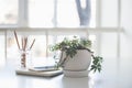 Home plant, business notepad and smartphone in backlight