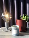 Home plant in ceramic pot. Decorative table lamp classic Edison light bulb. Candlestick. Interior decoration in loft style Royalty Free Stock Photo