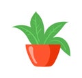 Home plant in pot. Green flower in red flowerpot for indoor bookshelves, flat icon vector illustration