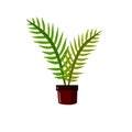 Home plant in pot. Large green leaves.Element of decoration and gardening. Cartoon flat illustration. Hobbies and flora