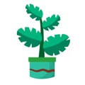 Home plant in pot. Large green leaves.Element of decoration and gardening. Hobbies and flora. Cartoon flat illustration