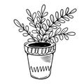 Home plant in a pot minimalistic monochrome color sketch style vector art. Royalty Free Stock Photo