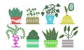 Home plant set decor jungle. House collection planter succulent urban pot vector illustration. Handmade interior hygge and indoor Royalty Free Stock Photo