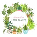 Home plants in circle wreath sale poster vector illustration. Houseplants, indoor and office plants in pot. Dracaena