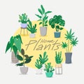 Home Plants collection Vector, Set of indoor plant 