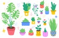 Home plants. Different breeds houseplants, color pots, floriculture and gardening, cozy indoor hobby, doodle style palms