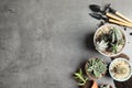 Home plants, pots and gardening tools on grey background, flat lay. Royalty Free Stock Photo