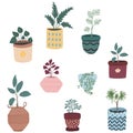 Home plants in pots hand drawn Royalty Free Stock Photo