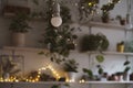 Home plants in pots in the interior of blur at night with light garlands. cozy christmas atmosphere in retro, vintage Royalty Free Stock Photo