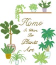 Home plants in pots. Nature houseplants, decoration potted houseplant and flower plant planting in pot vector