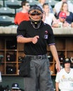 Home plate umpire Reid Joyner Royalty Free Stock Photo