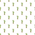 Home pot cactus pattern seamless Royalty Free Stock Photo