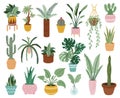 Home potted plants. Houseplants in plant pots, flower potted plant, green leaves interior decoration isolated vector
