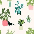 Home potted plants vector pattern. Natural colors Seamless background in flat style. Royalty Free Stock Photo