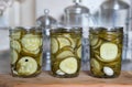 Home Preserved Dill Pickle Slices