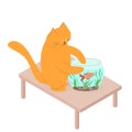 Home red cat playing with a fish in the aquarium. Cute cat sits on the table and touches the water with his paw in the aquarium