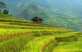 Home on the rice terrace tu le Royalty Free Stock Photo